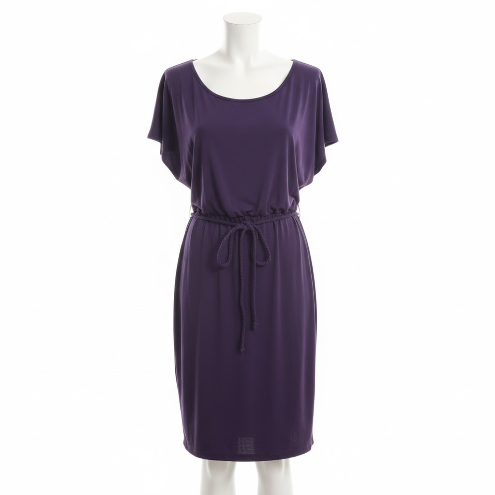 Enfocus Women Vibrant Purple Dress
